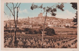 CHATEAUNEUF DU PAPE - Chateauneuf Du Pape