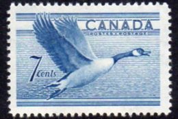 Canada QEII 1952 7c Canada Goose Bird Definitive, MNH, SG 443 - Ungebraucht