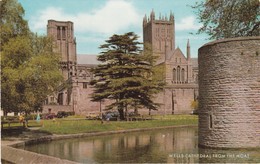 E851 WELLS CATHEDRAL - FROM THE MOAT - Wells