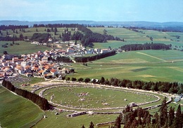 SAIGNELÉGIER Marché Concours National De Chevaux - Saignelégier