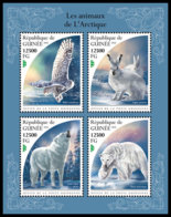 GUINEA REP. 2018 **MNH Arctic Animals Arktische Tiere Animaux De Arctique M/S - OFFICIAL ISSUE - DH1847 - Arctic Tierwelt