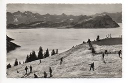 SATTEL Hochstuckli Skifahrer Nebelmeer - Sattel