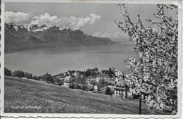 SUISSE-Glion Au Printemps-MO - Ilanz/Glion