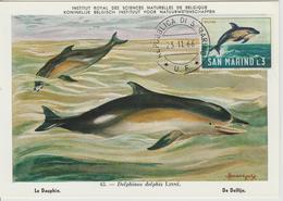 Saint Marin Carte Maximum 1966 Dauphin 678 - Storia Postale