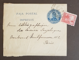 1907 Argentina, Faja Postal Impresos, Cover Hand Made, Buenos Aires-Paris France - Cartas & Documentos