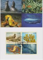 United Nations - MK 97 - Mi 526-5229 Endangered Species - Northern Elephant Seal - Sea Ginger - Spiny Seahorse 2008 - Maximum Cards