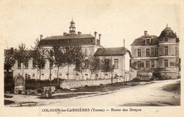 - COURSON Les Carrières - Route De Druyes   -9216- - Courson-les-Carrières