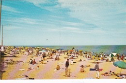 Delaware Greetings From Rehoboth Beach Sunbathers - Other & Unclassified
