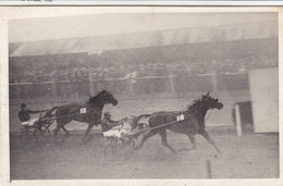 NEBULEUX V Gagnant Du Gd Prix D'Hiver Du 24/1/1943 - Très Rare Carte Photo ! - Horse Show