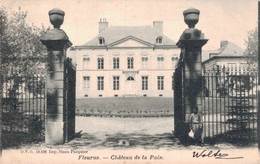 Fleurus Château De La Paix - Fleurus