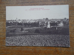 Colombey-les-belles , Vue Panoramique - Colombey Les Belles