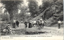 49 - MONTFAUCON --  Côteaux De La Guerche - Boeufs Sortant De L'Abreuvoir - Montfaucon