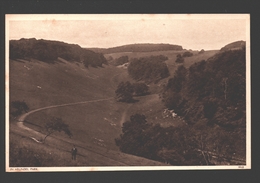 Arundel - In Arundel Park - Photo Card - Arundel