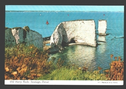 Swanage - Old Harry Rocks - Swanage