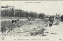 Puy De Dome : Pont Du Chateau, Les Bords  De L'allier Et Le Chateau - Pont Du Chateau