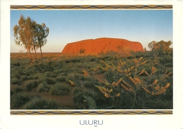Uluru (NT, Australia) Ancient Monolith, Antico Monolite, Thematic Stamp "100 Years Of Test Rugby" - Uluru & The Olgas