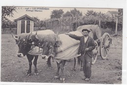 Pyrénées-Atlantiques - Attelage Béarnais - Bearn