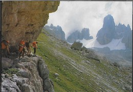 DOLOMITI  DI BRENTA  - VIA FERRATA SOSAT - TIMBRO RIFUGIO TUCKETT - VIAGGIATA 1988 - Climbing