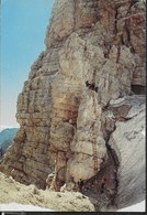 DOLOMITI DI BRENTA - VIA DELLE BOCCHETTE ALLA BOCCA DELLE ARMI - VIAGGIATA 1973 - Climbing