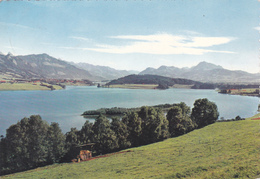 SUISSE,HELVETIA,SWISS,SWITZERLAND,SVIZZERA,SCHWEIZ,FRIBOURG,lac Artificiel De La GRUYERE,SARINE - Fribourg