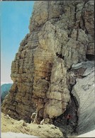 DOLOMITI DI BRENTA - VIA DELLE BOCCHETTE ALLA BOCCA DELLE ARMI - TIMBRO RIFUGIO ALIMONTA - NUOVA - Climbing