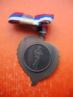 MEDAL.KS SENICNO(TRZIC).XI.KROS - Athlétisme