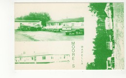 WAPELLA, Saskatchewan, Canada, Moore's Newport Motel, 1960-70's Advertising Postcard - Sonstige & Ohne Zuordnung