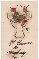 SOUVENIR DE WEGBERG (Fleurs Rouges, Carte Avec Paillettes) - Wegberg