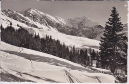 SUISSE - Switzerland, Elsigbach - ACHSETEN  Bei FRUTIGEN  - ALP METSCH - Frutigen