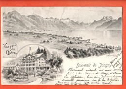 VAQ-08 Souvenir De Jongny Litho Vue Prise De L'Hotel Avec Dents Du Midi.Précurseur.Cachet Vevey  Timbre Manque - Jongny