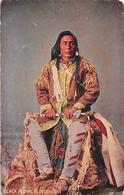 Thème. Indiens .Lot De 13 Cartes. Sioux Et Autres      (voir Scan) - America