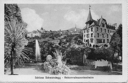 MENZINGEN Schloss Schwandegg Rekonvaleszentenheim Gel. 1925 N. Basel - Menzingen