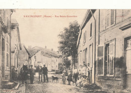 54 // VAVINCOURT   La Rue Ste Geneviève - Vavincourt