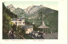 ** T2 Tátra, Magas Tátra, Vysoké Tatry; Tarpatakfüred Szálloda, Lomnici Csúcs. Kiadja Cattarino 121. / Hotel Kohlbach, L - Zonder Classificatie