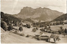 CPSM DE ERIZ  (SUISSE)  ERIZ MIT HOHGANT - Eriz