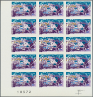 Frankreich: 1976, European Institue For Nuclear Research (CERN) In Geneve 1.40fr. IMPERFORATE Block - Lettres & Documents