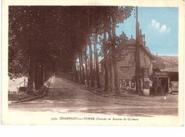 CHAMPIGNY SUR YONNE ... AVENUE DU CHATEAU - Champs Sur Yonne