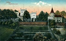 Guben Allemagne Deutschland Germany   Brandebourg  VUE SUR SANSSOUCI Belle Chromo De 1917 - Guben