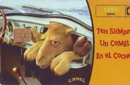 Télécarte FRANCE * CAMEL *  CHAMEAU * Kameel * Kamel * Camello (403) PHONECARD * TELEFONKARTE - Chevaux