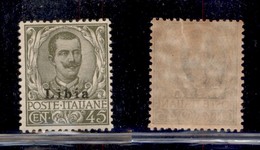 COLONIE - LIBIA - 1917 - 45 Cent (18) - Gomma Integra (162) - Sonstige & Ohne Zuordnung