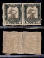 COLONIE - LIBIA - 1921 - 1 Cent Pittorica (21) - Coppia Orizzontale - Gomma Integra (50) - Andere & Zonder Classificatie