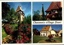 CHATENOIS 67 - Village Fleuri - Multivues - EBC 84 - P-3 - Chatenois