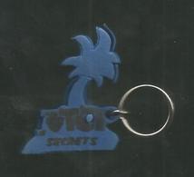 Porte Clefs, Clés , TOP SECRETS ,palmier ,  2 Scans ,  Frais Fr 1.95 E - Key-rings