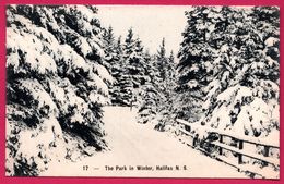 Halifax - The Park In Winter - N.S. - Publisher W. E. HEBB - Halifax