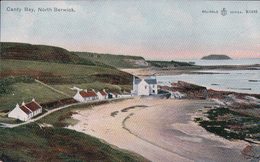 Ecosse, Canty Bay Petit Hameau Côtier, East Lothian (1432) - East Lothian