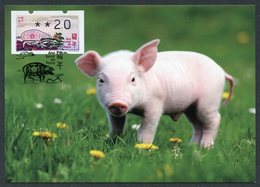 MACAU / MACAO (2019). ATM Klüssendorf - Ano Lunar Do Porco / Lunar Year Of The Pig / Année Du Cochon - Maximum Card - Distributeurs