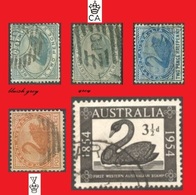 WA Australie, Mixed Lot - Black Swan Cygne - Used Stamps