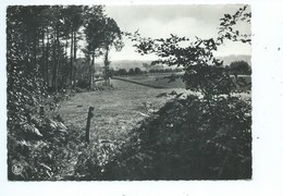 Flobecq - La Houppe - Panorama Vers Flobecq Vu Du Bois - Vloesberg