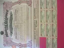 Certificat Au Porteur D'une Action De 1 Livre Sterling Entiérement Lbéréei/Mount Elliott Limited/AUSTRALIE/1913   ACT205 - Bergbau