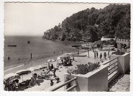 83-LE RAYOL- La Plage- Parasols, Animation- Cpsm  Scans Recto-verso - Rayol-Canadel-sur-Mer